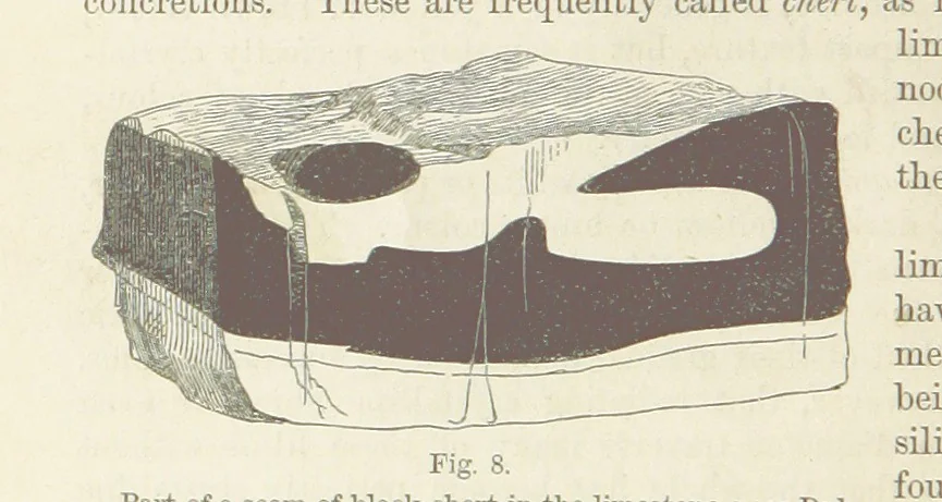 An illustration from The Student's Manual of Geology, 1862, leaf 172