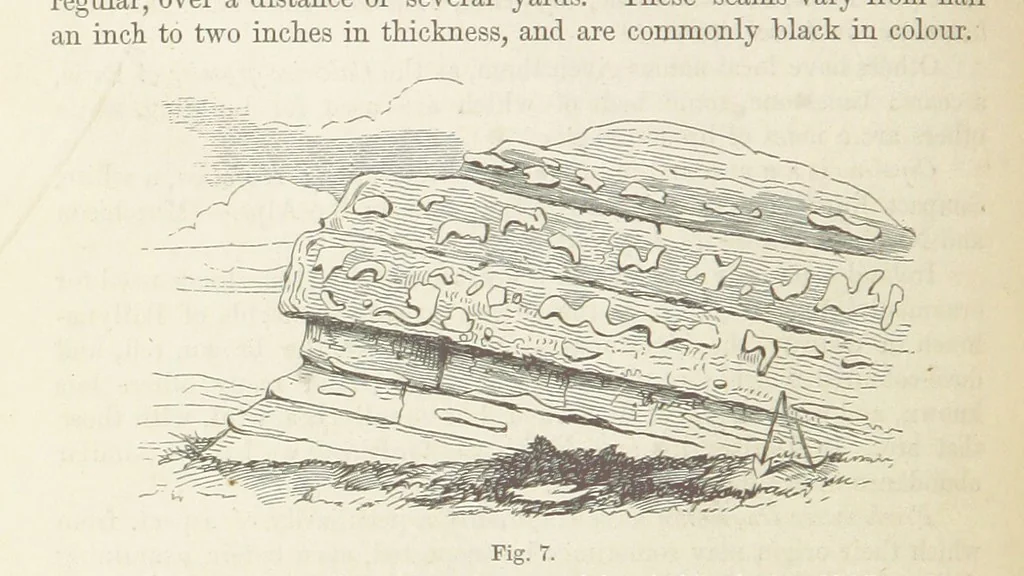 An illustration from The Student's Manual of Geology, 1862, leaf 172