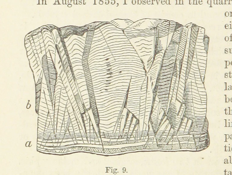 An illustration from The Student's Manual of Geology, 1862, leaf 176