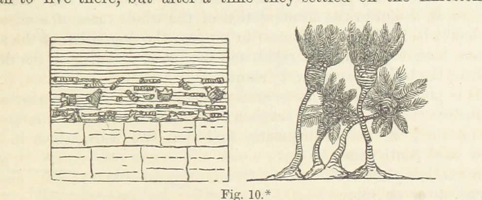 An illustration from The Student's Manual of Geology, 1862, leaf 209