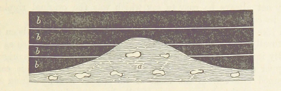 An illustration from The Student's Manual of Geology, 1862, leaf 219