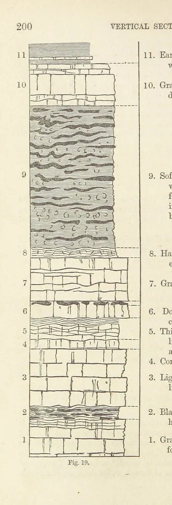 An illustration from The Student's Manual of Geology, 1862, leaf 228