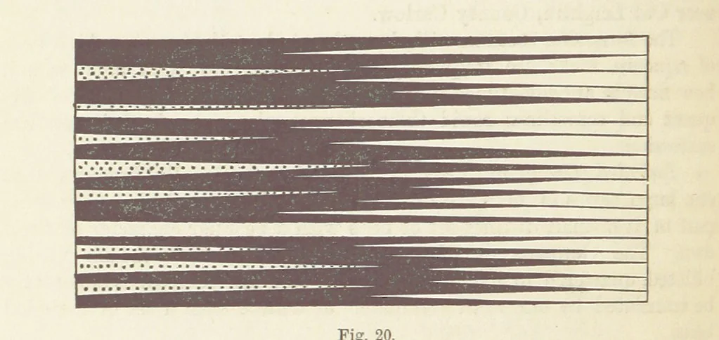 An illustration from The Student's Manual of Geology, 1862, leaf 230