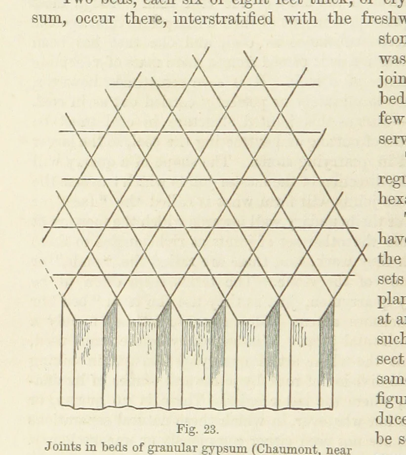 An illustration from The Student's Manual of Geology, 1862, leaf 242