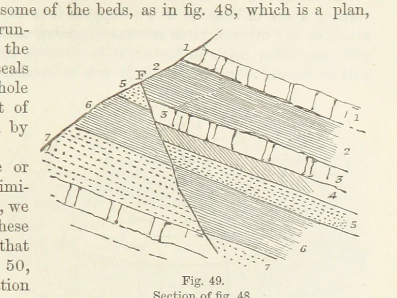 An illustration from The Student's Manual of Geology, 1862, leaf 281
