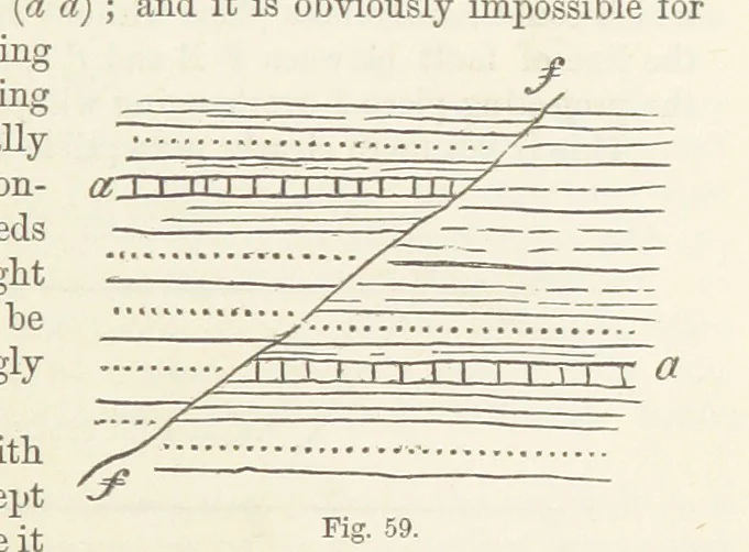 An illustration from The Student's Manual of Geology, 1862, leaf 285