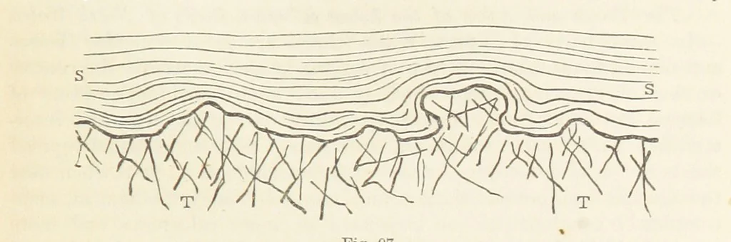 An illustration from The Student's Manual of Geology, 1862, leaf 351