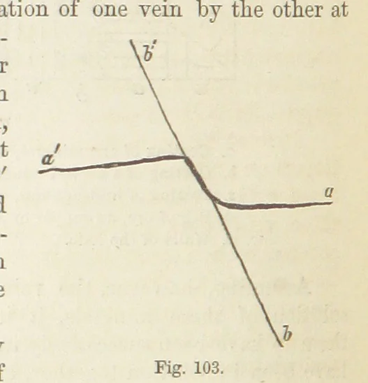 An illustration from The Student's Manual of Geology, 1862, leaf 388