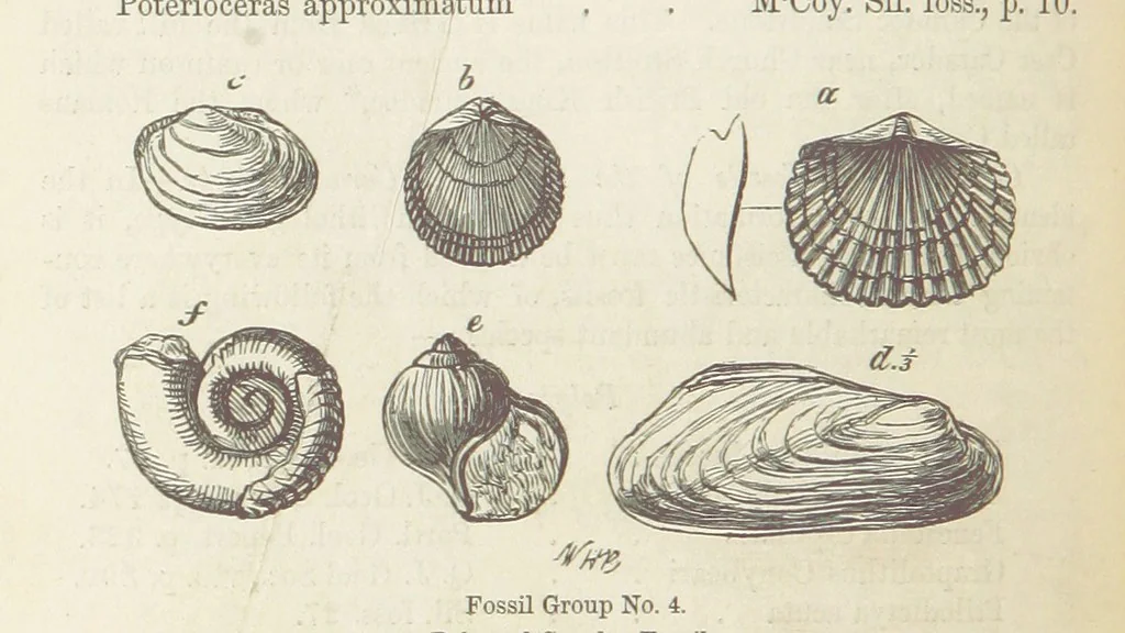 An illustration from The Student's Manual of Geology, 1862, leaf 478