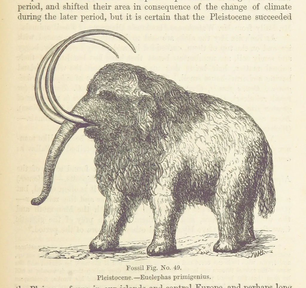 An illustration from The Student's Manual of Geology, 1862, leaf 721