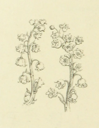 An illustration from The Poetical Works of John Keats. With a memoir by Richard Monckton Milnes. Illustrated by 120 designs, original and from the antique, drawn on wood by George Scharf, Jun, 1854, leaf 18