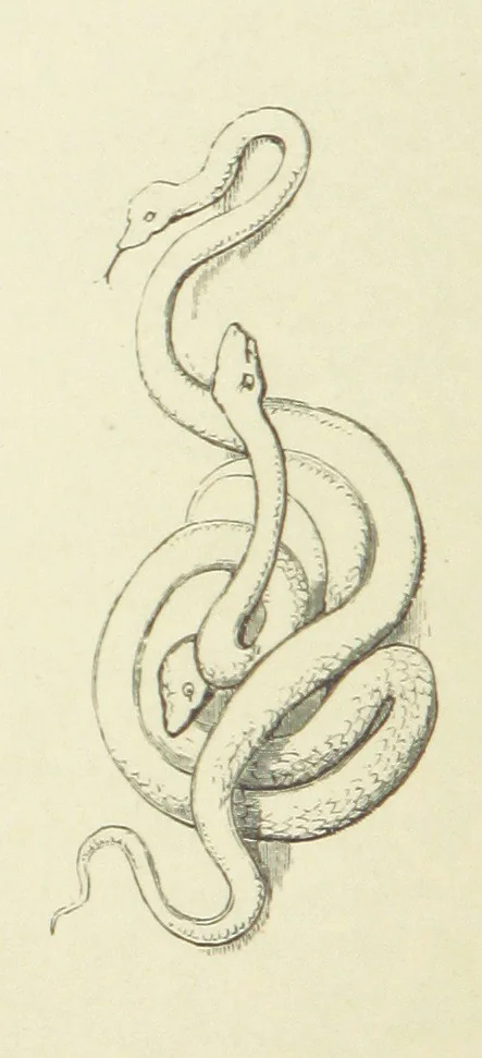 An illustration from The Poetical Works of John Keats. With a memoir by Richard Monckton Milnes. Illustrated by 120 designs, original and from the antique, drawn on wood by George Scharf, Jun, 1854, leaf 234