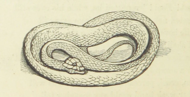 An illustration from The Poetical Works of John Keats. With a memoir by Richard Monckton Milnes. Illustrated by 120 designs, original and from the antique, drawn on wood by George Scharf, Jun, 1854, leaf 246