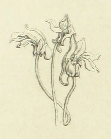 An illustration from The Poetical Works of John Keats. With a memoir by Richard Monckton Milnes. Illustrated by 120 designs, original and from the antique, drawn on wood by George Scharf, Jun, 1854, leaf 248