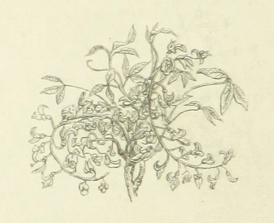 An illustration from The Poetical Works of John Keats. With a memoir by Richard Monckton Milnes. Illustrated by 120 designs, original and from the antique, drawn on wood by George Scharf, Jun, 1854, leaf 274