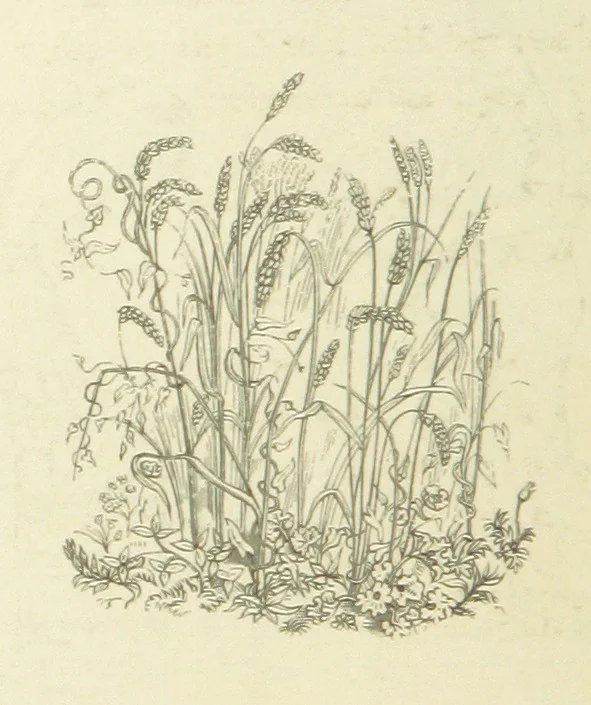 An illustration from The Poetical Works of John Keats. With a memoir by Richard Monckton Milnes. Illustrated by 120 designs, original and from the antique, drawn on wood by George Scharf, Jun, 1854, leaf 294