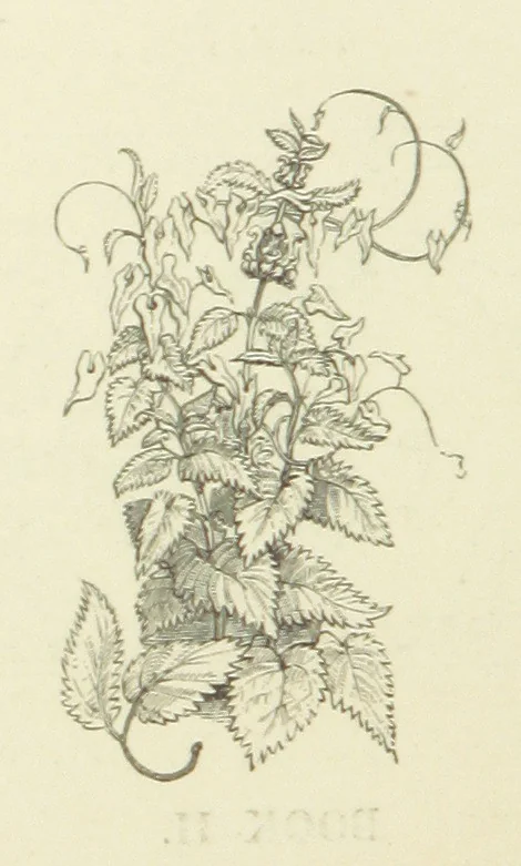 An illustration from The Poetical Works of John Keats. With a memoir by Richard Monckton Milnes. Illustrated by 120 designs, original and from the antique, drawn on wood by George Scharf, Jun, 1854, leaf 312