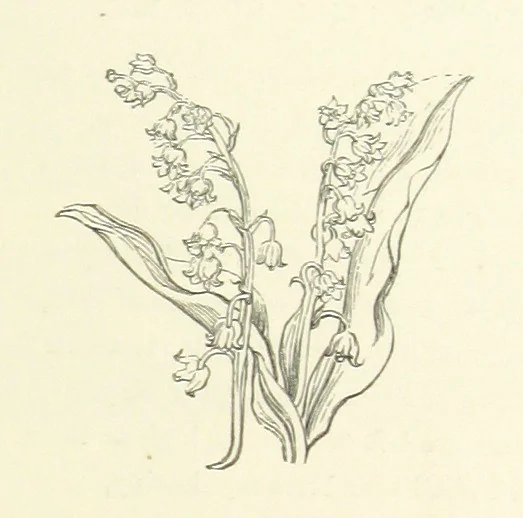 An illustration from The Poetical Works of John Keats. With a memoir by Richard Monckton Milnes. Illustrated by 120 designs, original and from the antique, drawn on wood by George Scharf, Jun, 1854, leaf 333