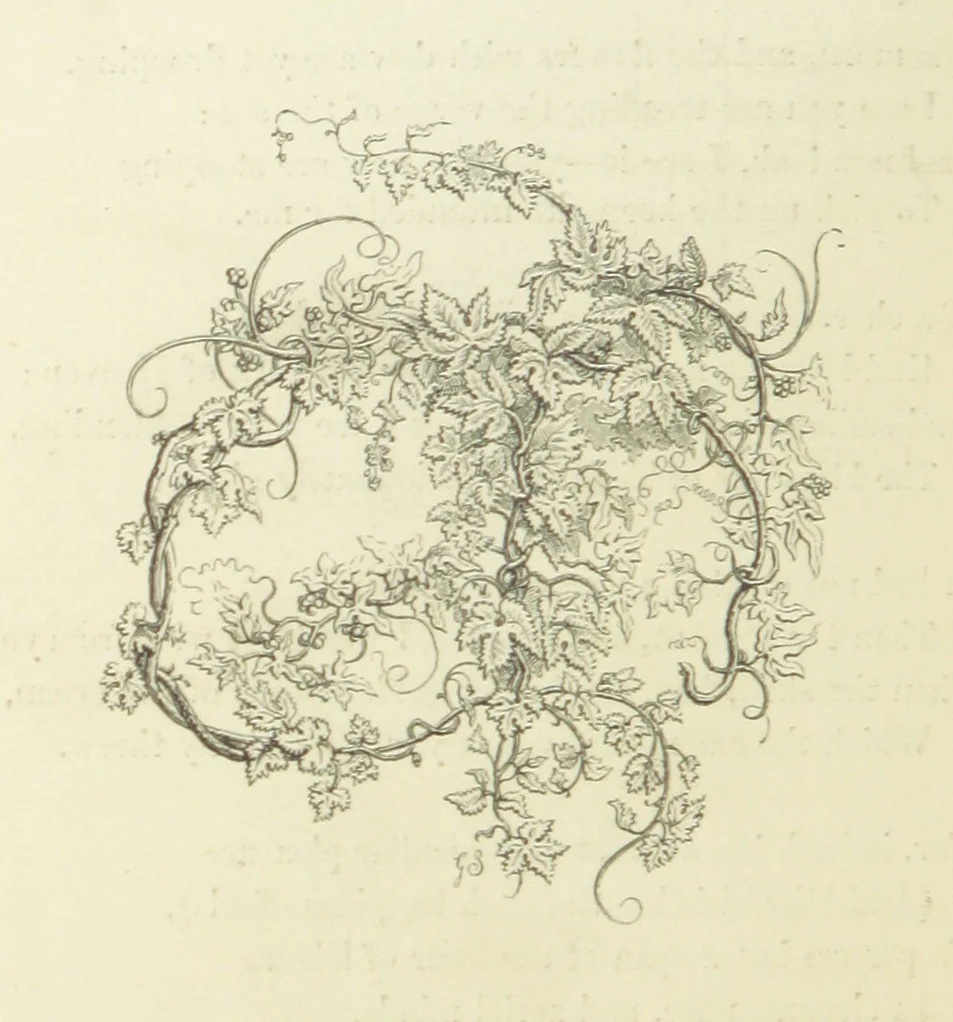 An illustration from The Poetical Works of John Keats. With a memoir by Richard Monckton Milnes. Illustrated by 120 designs, original and from the antique, drawn on wood by George Scharf, Jun, 1854, leaf 356