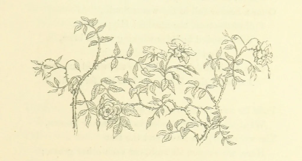 An illustration from The Poetical Works of John Keats. With a memoir by Richard Monckton Milnes. Illustrated by 120 designs, original and from the antique, drawn on wood by George Scharf, Jun, 1854, leaf 367