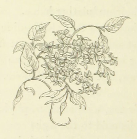 An illustration from The Poetical Works of John Keats. With a memoir by Richard Monckton Milnes. Illustrated by 120 designs, original and from the antique, drawn on wood by George Scharf, Jun, 1854, leaf 406