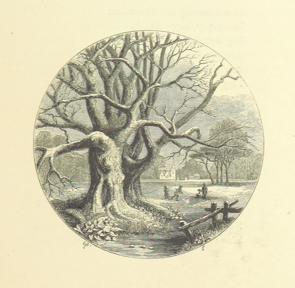An illustration from The Poetical Works of John Keats. With a memoir by Richard Monckton Milnes. Illustrated by 120 designs, original and from the antique, drawn on wood by George Scharf, Jun, 1854, leaf 407