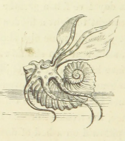 An illustration from The Poetical Works of John Keats. With a memoir by Richard Monckton Milnes. Illustrated by 120 designs, original and from the antique, drawn on wood by George Scharf, Jun, 1854, leaf 418