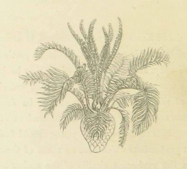 An illustration from The Poetical Works of John Keats. With a memoir by Richard Monckton Milnes. Illustrated by 120 designs, original and from the antique, drawn on wood by George Scharf, Jun, 1854, leaf 62