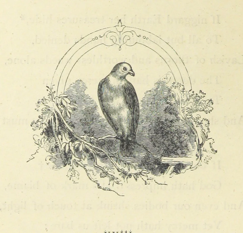 An illustration from The Christian Year, etc. [With a portrait, 1874, leaf 104