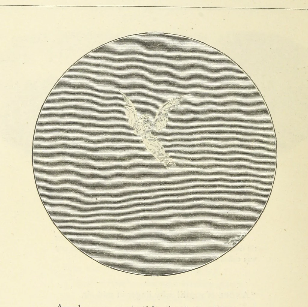 An illustration from The Christian Year, etc. [With a portrait, 1874, leaf 112