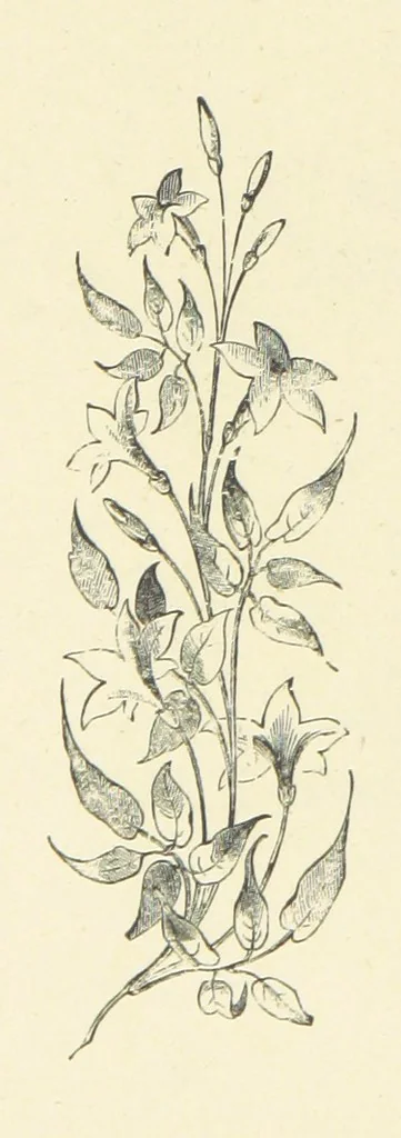 An illustration from The Christian Year, etc. [With a portrait, 1874, leaf 124