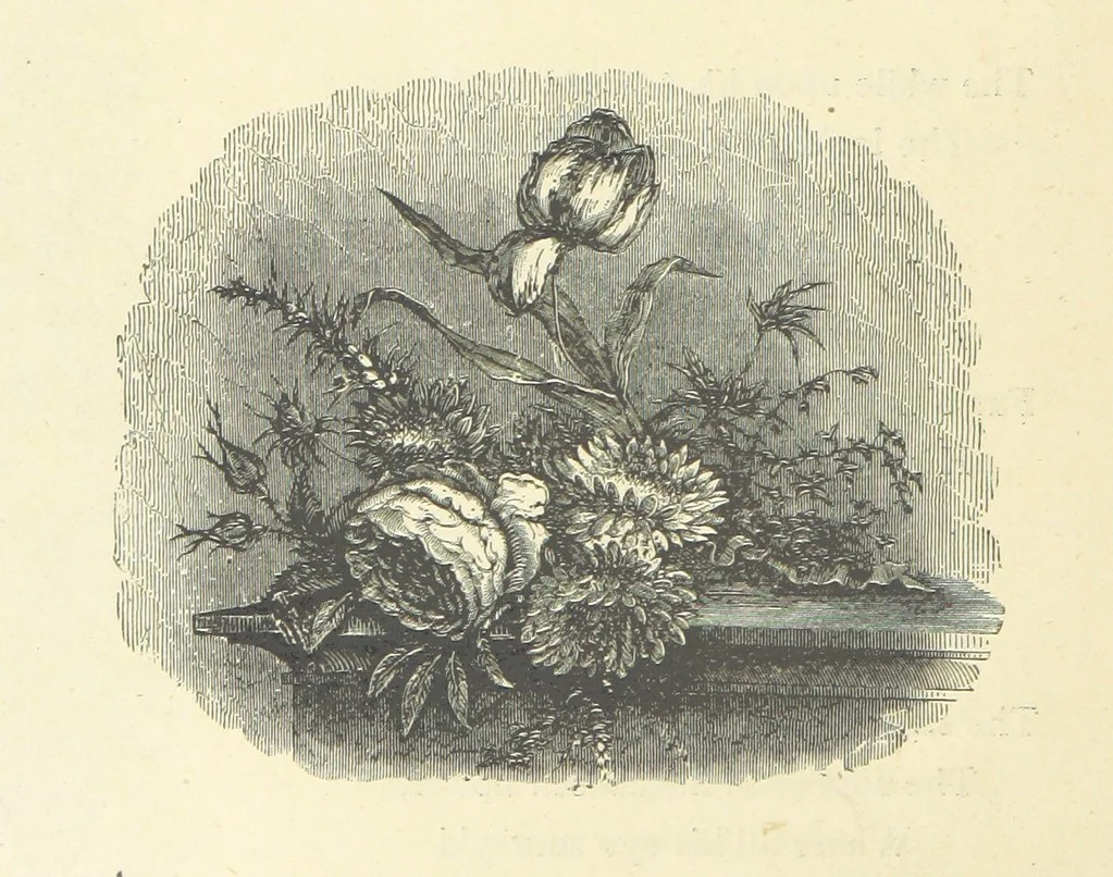 An illustration from The Christian Year, etc. [With a portrait, 1874, leaf 166