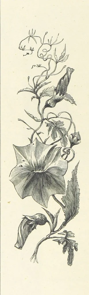 An illustration from The Christian Year, etc. [With a portrait, 1874, leaf 190