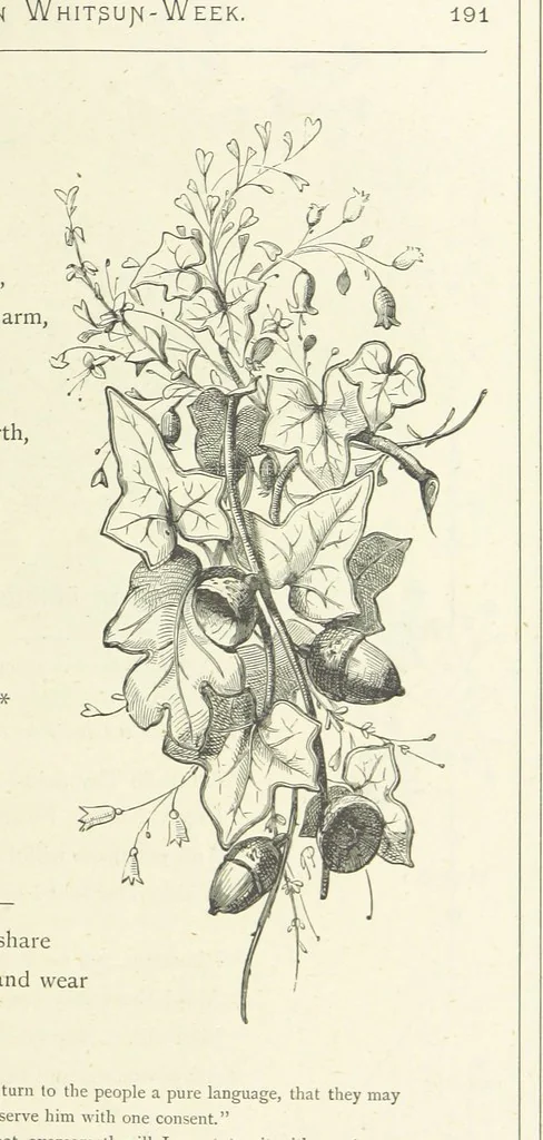 An illustration from The Christian Year, etc. [With a portrait, 1874, leaf 207