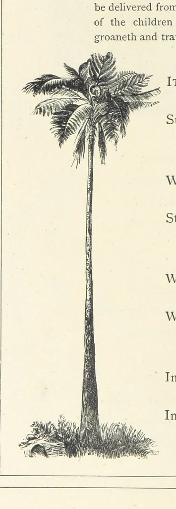 An illustration from The Christian Year, etc. [With a portrait, 1874, leaf 226