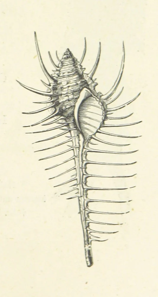 An illustration from The Christian Year, etc. [With a portrait, 1874, leaf 233