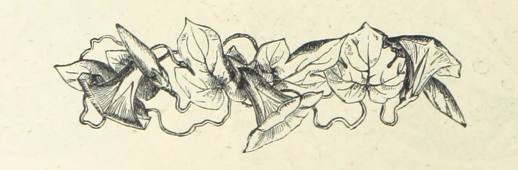 An illustration from The Christian Year, etc. [With a portrait, 1874, leaf 238