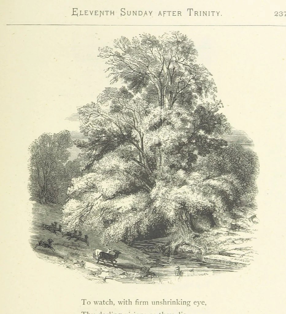 An illustration from The Christian Year, etc. [With a portrait, 1874, leaf 253