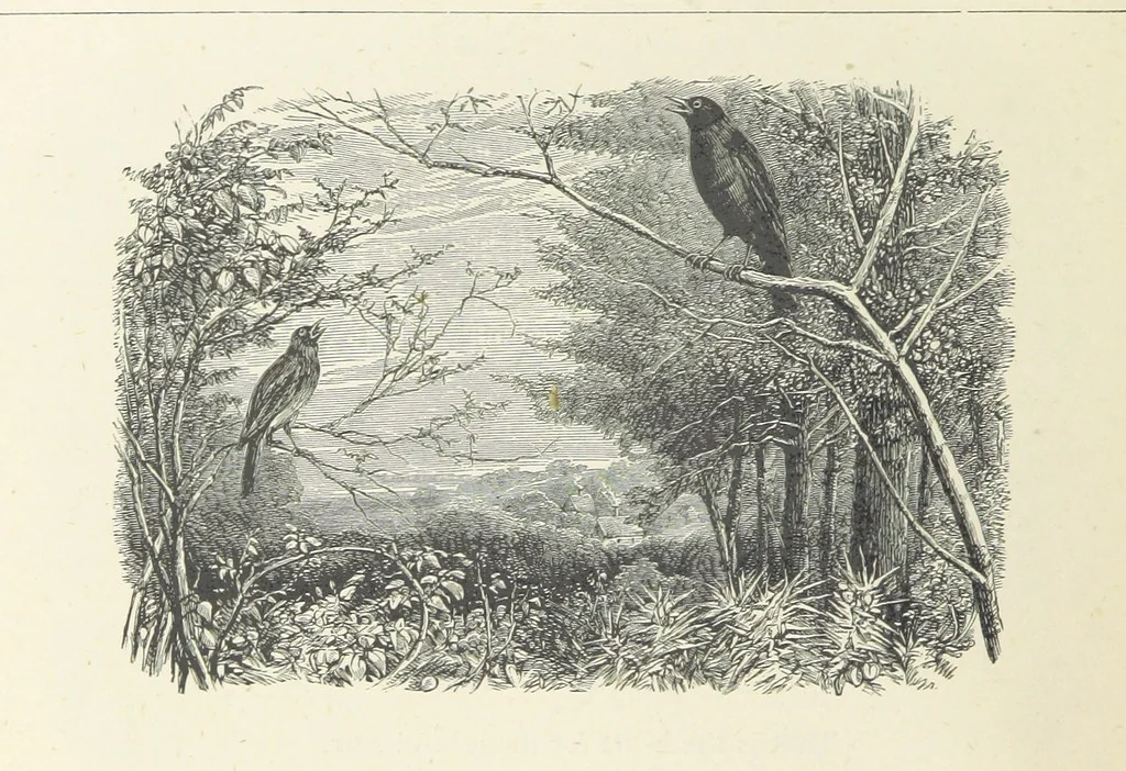 An illustration from The Christian Year, etc. [With a portrait, 1874, leaf 288