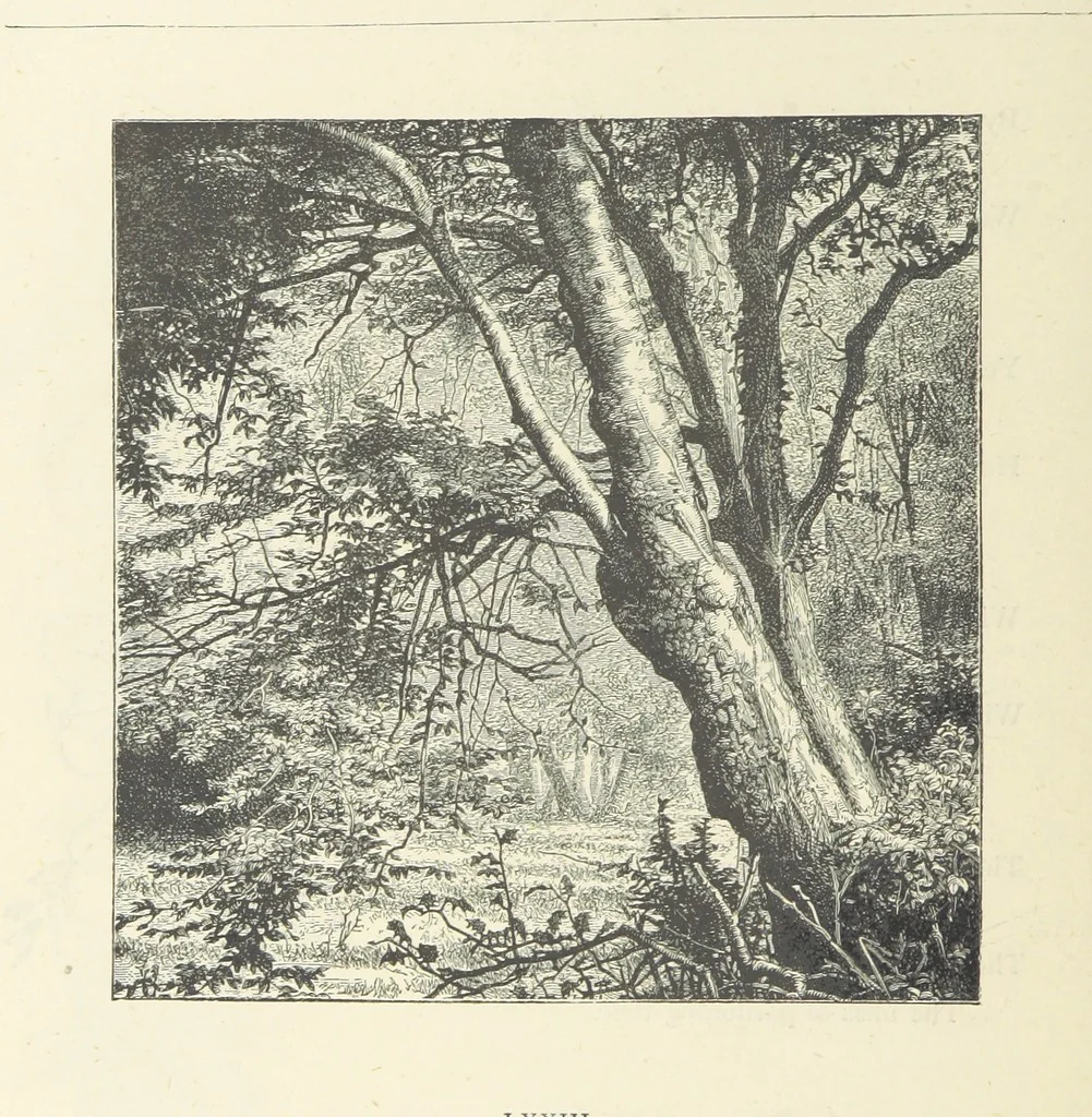 An illustration from The Christian Year, etc. [With a portrait, 1874, leaf 292