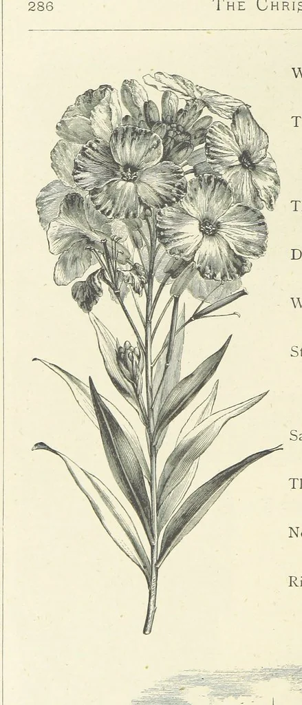 An illustration from The Christian Year, etc. [With a portrait, 1874, leaf 302