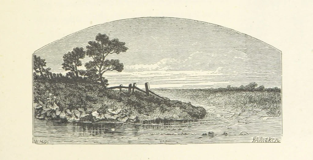 An illustration from The Christian Year, etc. [With a portrait, 1874, leaf 315