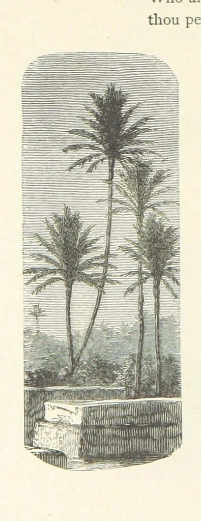 An illustration from The Christian Year, etc. [With a portrait, 1874, leaf 316
