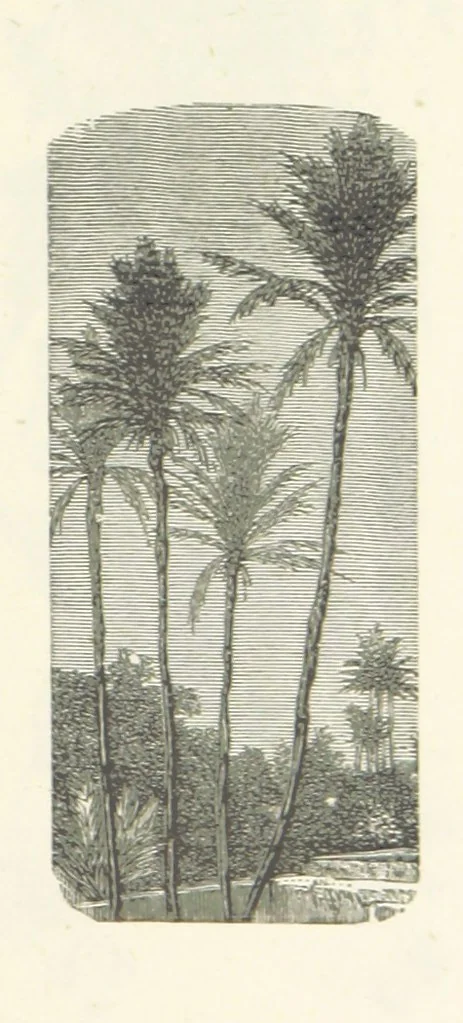 An illustration from The Christian Year, etc. [With a portrait, 1874, leaf 317