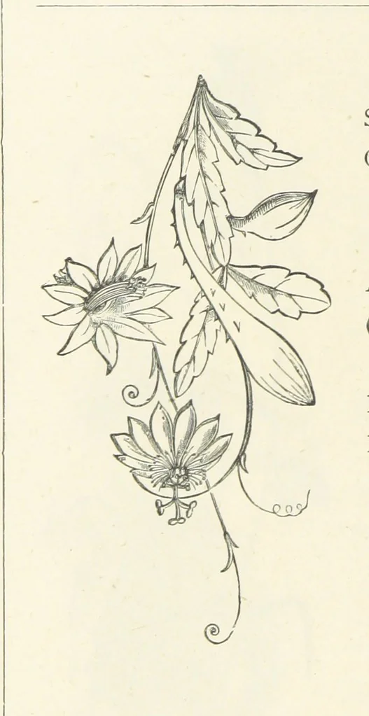 An illustration from The Christian Year, etc. [With a portrait, 1874, leaf 320