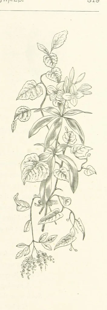 An illustration from The Christian Year, etc. [With a portrait, 1874, leaf 335
