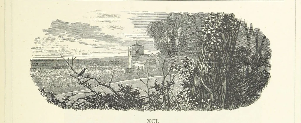 An illustration from The Christian Year, etc. [With a portrait, 1874, leaf 355
