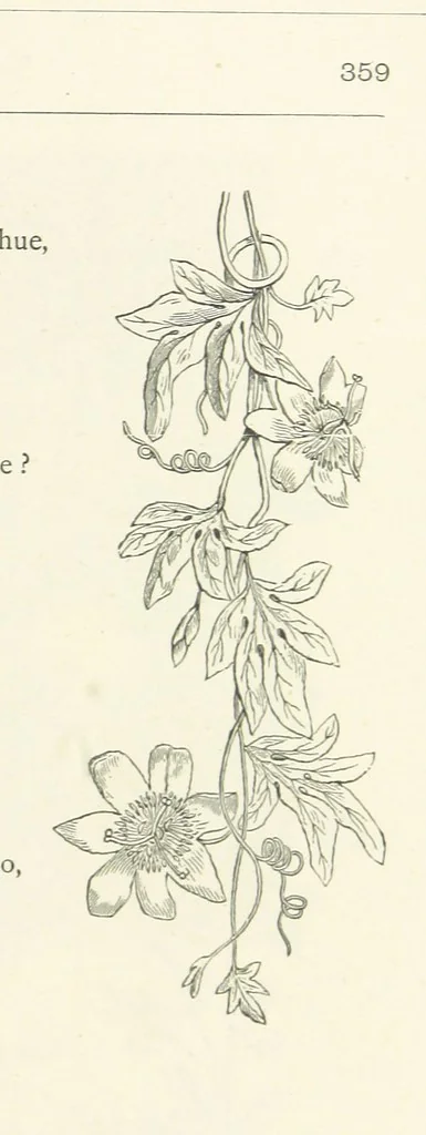 An illustration from The Christian Year, etc. [With a portrait, 1874, leaf 375