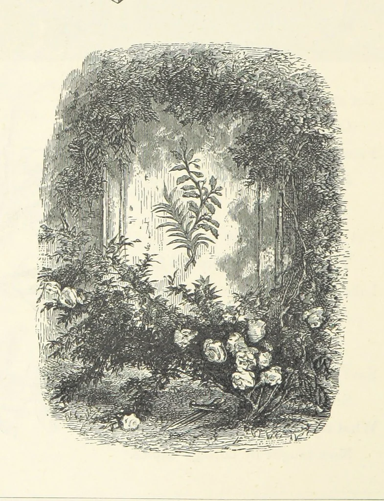An illustration from The Christian Year, etc. [With a portrait, 1874, leaf 378