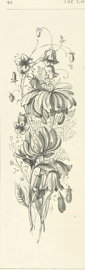 An illustration from The Christian Year, etc. [With a portrait, 1874, leaf 62